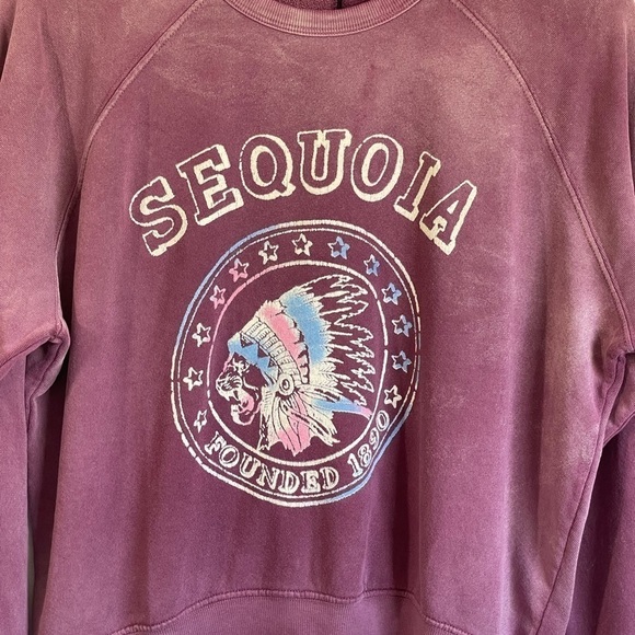 Daydreamer Sequoia Oversized Varsity Sweatshirt - Picture 5 of 6